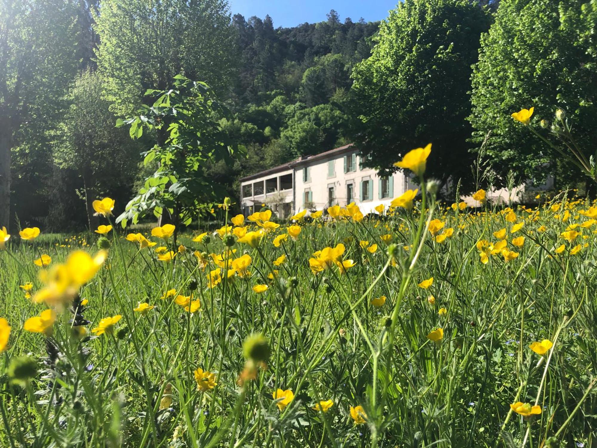 Chateau Du Fraissinet, 6 Gites Sleeping 2-8 Guests, Pool And River On Site La Tronche  Bagian luar foto