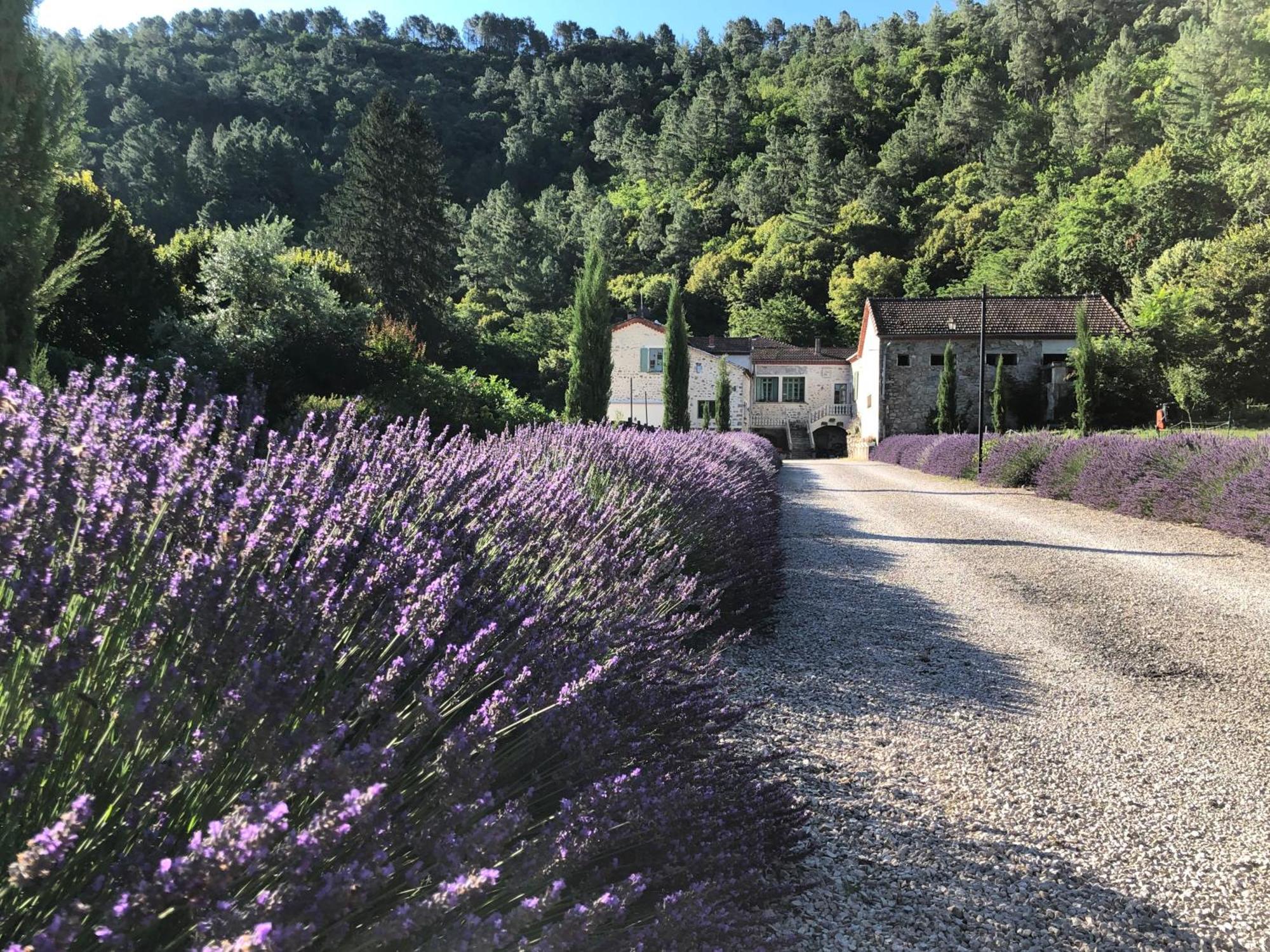 Chateau Du Fraissinet, 6 Gites Sleeping 2-8 Guests, Pool And River On Site La Tronche  Bagian luar foto